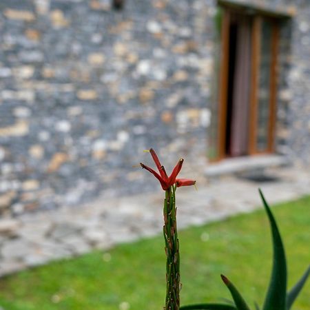 Collina E Mare Villa Camogli Kültér fotó