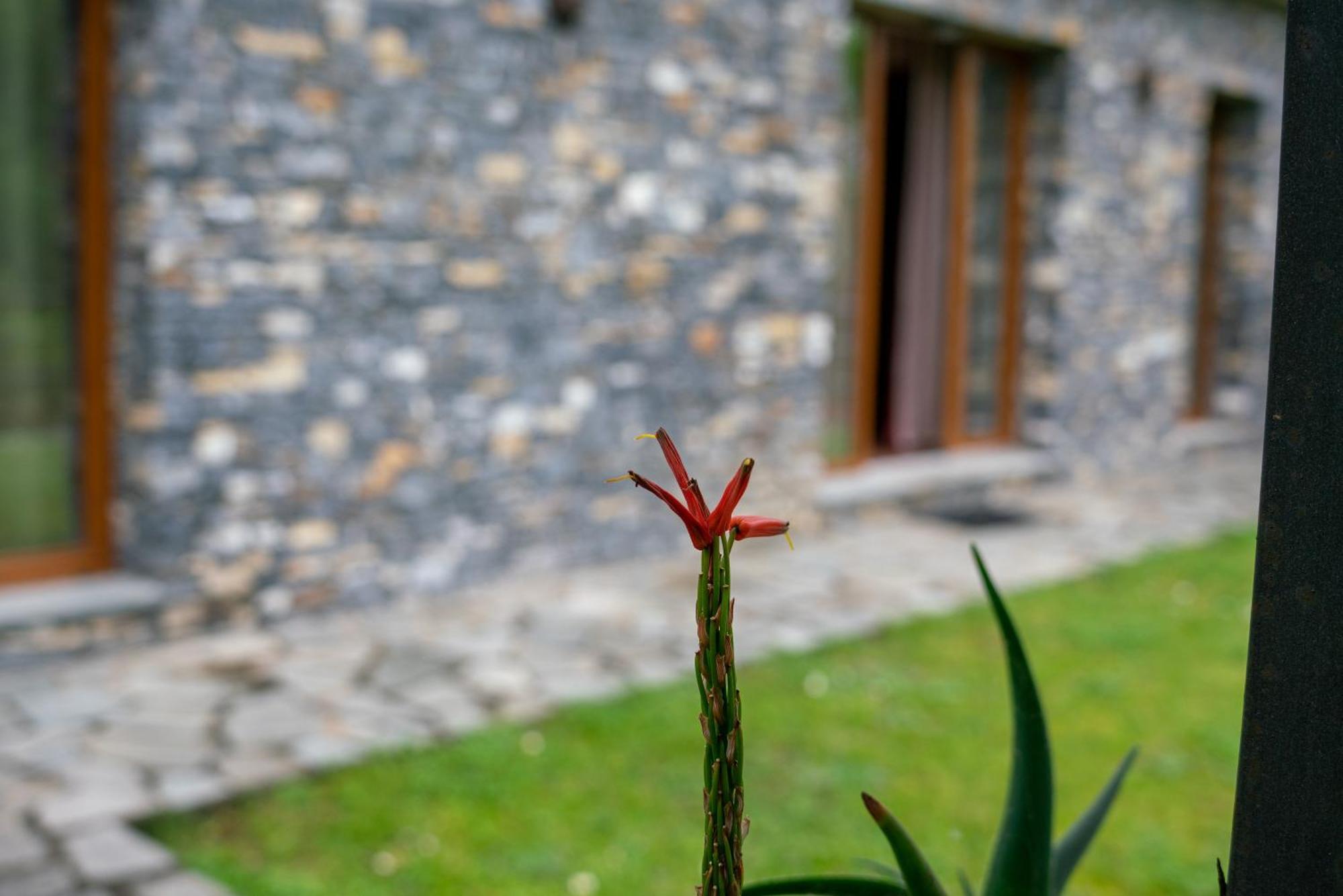 Collina E Mare Villa Camogli Kültér fotó