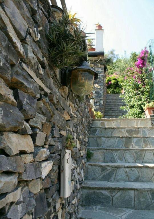 Collina E Mare Villa Camogli Kültér fotó