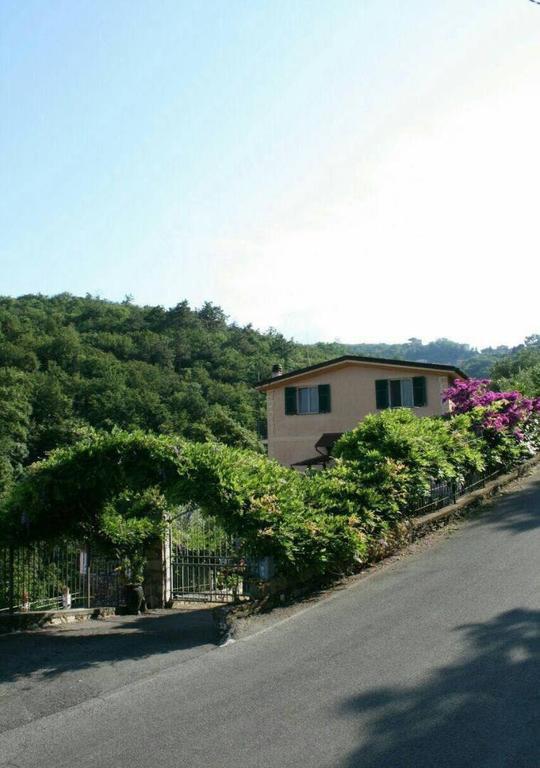 Collina E Mare Villa Camogli Kültér fotó