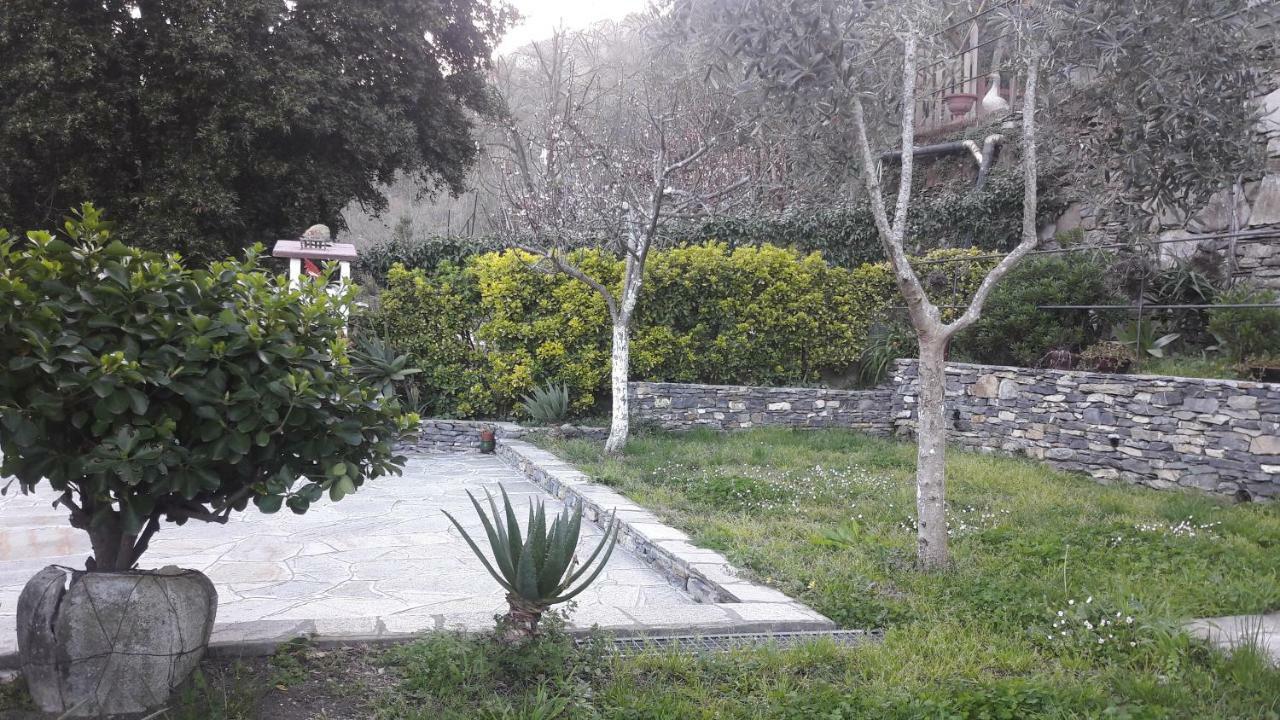Collina E Mare Villa Camogli Kültér fotó